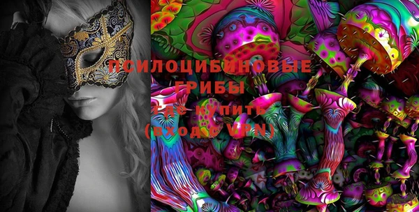 спайс Алзамай